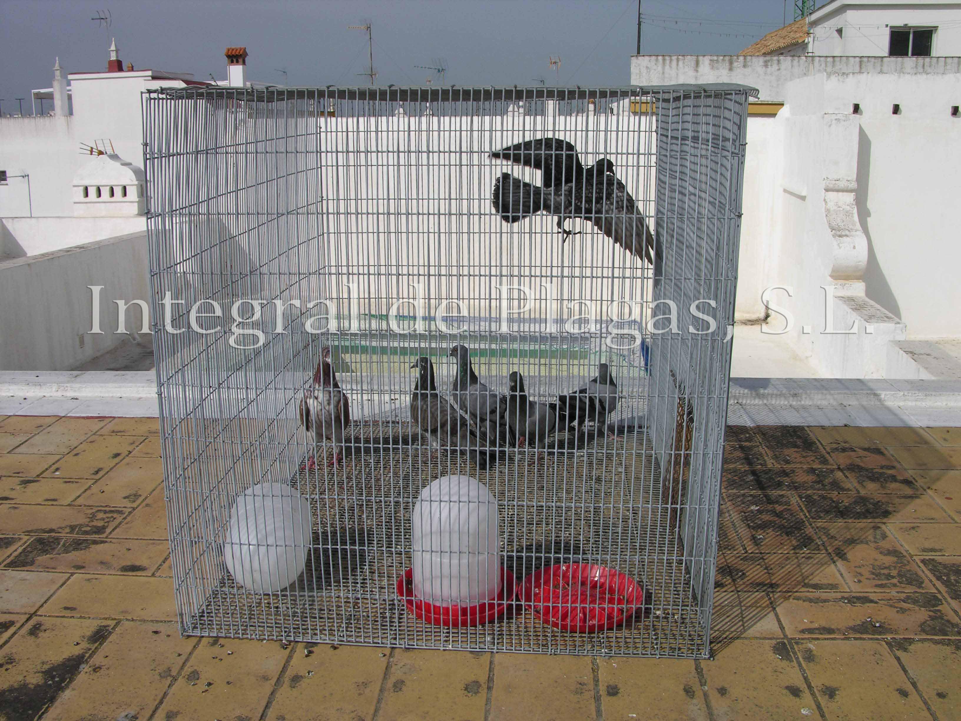 ayamonte-casa-grande-11-4.jpg