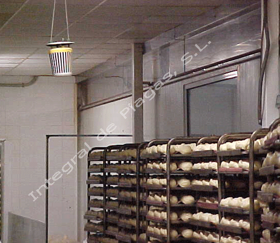 control-con-trampas--plodia-y-ephestia.png
