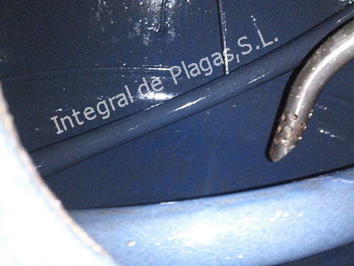 acumulador-de-agua-limpio.jpg