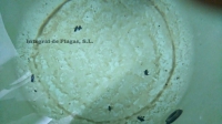 Los depósitos de agua de tu comunidad